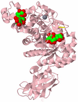 Image Biological Unit 3