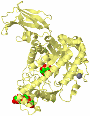 Image Biological Unit 4