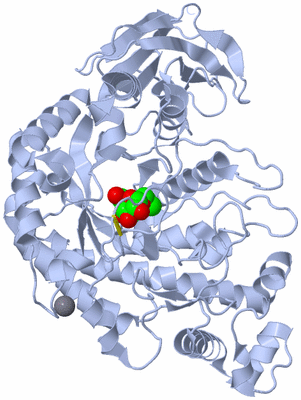 Image Biological Unit 1