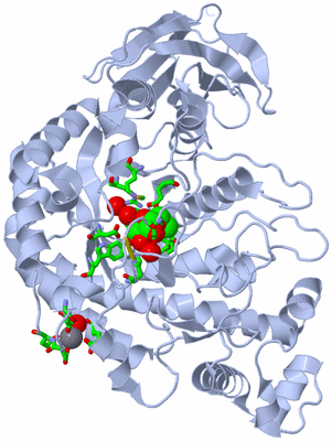 Image Biol. Unit 1 - sites