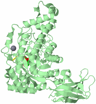 Image Biological Unit 2