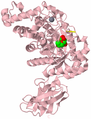 Image Biological Unit 3