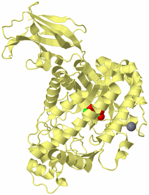 Image Biological Unit 4