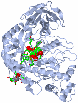 Image Biol. Unit 1 - sites