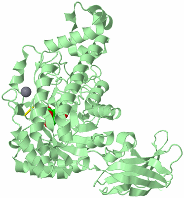 Image Biological Unit 2