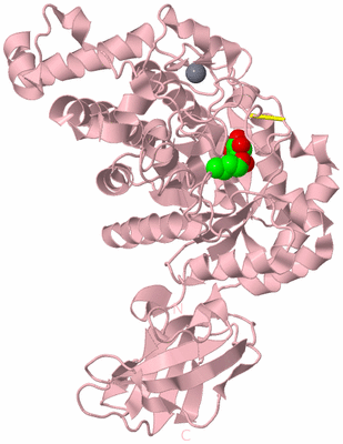 Image Biological Unit 3