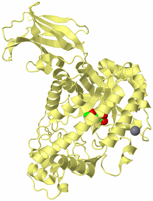 Image Biological Unit 4