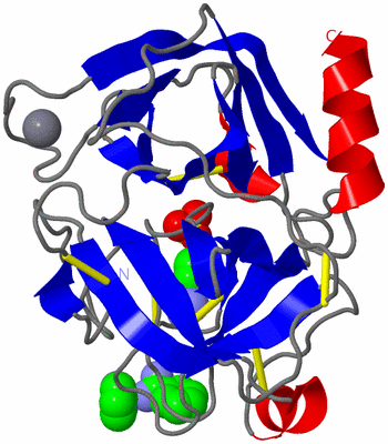 Image Asym./Biol. Unit