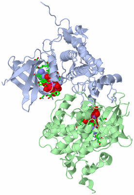 Image Asym./Biol. Unit - sites