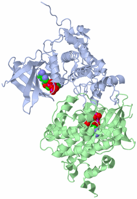 Image Asym./Biol. Unit