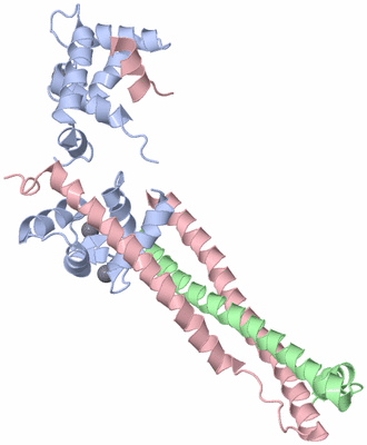 Image Biological Unit 1