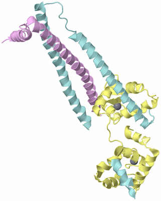 Image Biological Unit 2