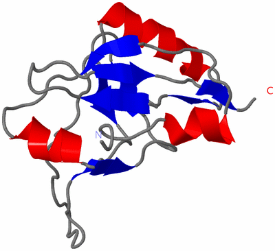 Image NMR Structure - model 1