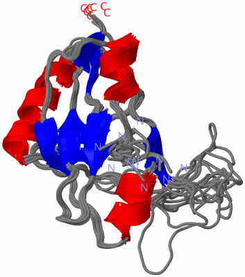 Image NMR Structure - all models