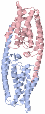 Image Biological Unit 3