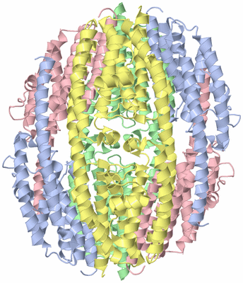 Image Biological Unit 5