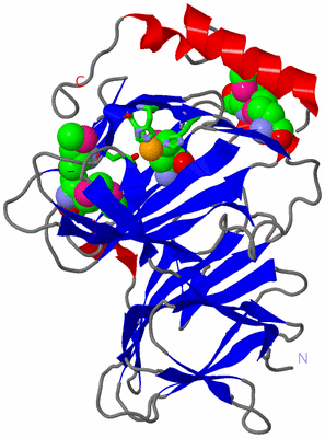 Image Asym./Biol. Unit - sites