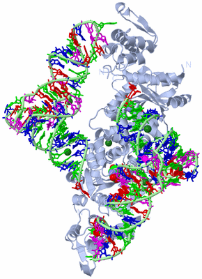 Image Biological Unit 1