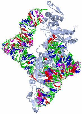 Image Biol. Unit 1 - sites