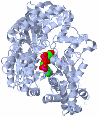 Image Biological Unit 1