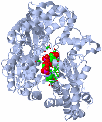 Image Biol. Unit 1 - sites