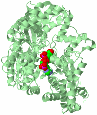 Image Biological Unit 2