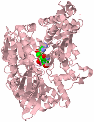 Image Biological Unit 3