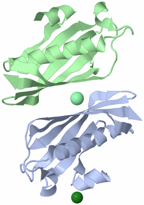 Image Asymmetric Unit