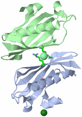 Image Asym. Unit - sites