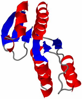 Image Asymmetric Unit