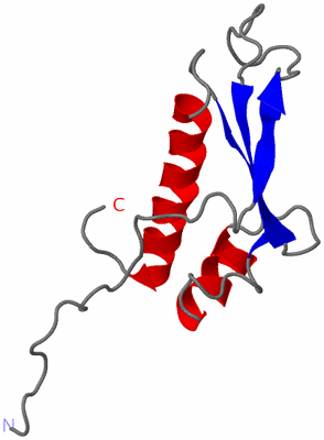 Image NMR Structure - model 1