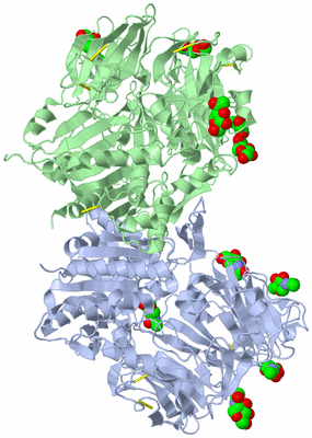 Image Asym./Biol. Unit