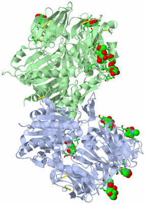 Image Asym./Biol. Unit - sites