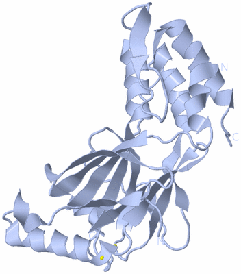 Image Biological Unit 1