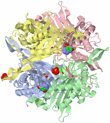 Image Asym./Biol. Unit