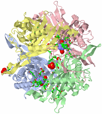 Image Asym./Biol. Unit - sites