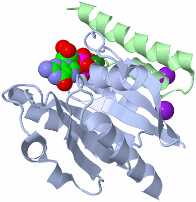 Image Asym./Biol. Unit