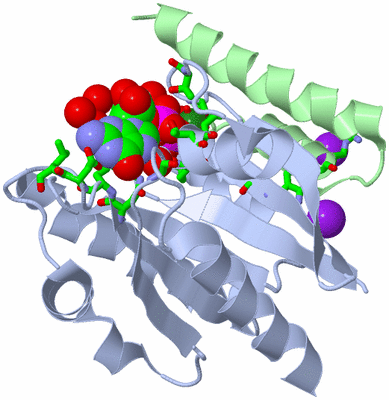 Image Asym./Biol. Unit - sites