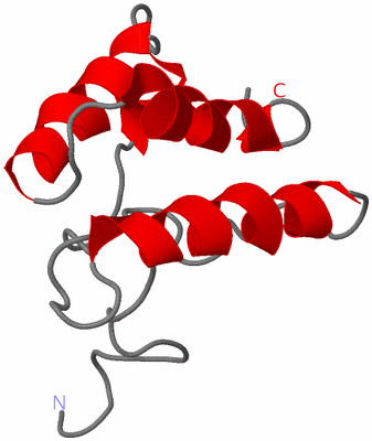 Image NMR Structure - model 1
