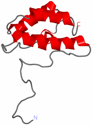 Image NMR Structure - model 1