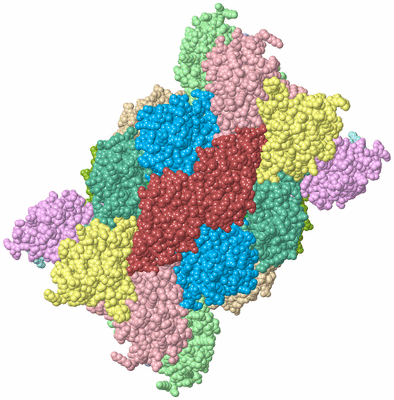 Image Biological Unit 1