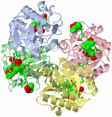 Image Biol. Unit 1 - sites