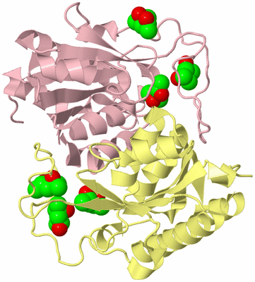 Image Biological Unit 3
