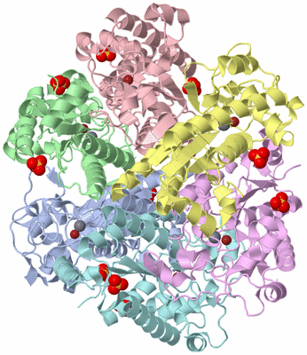 Image Asym./Biol. Unit