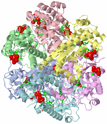 Image Asym./Biol. Unit - sites