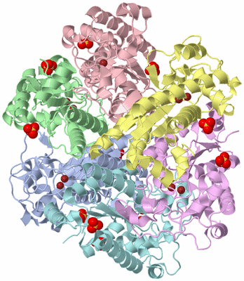 Image Asym./Biol. Unit