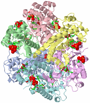 Image Asym./Biol. Unit - sites