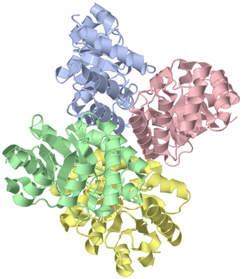 Image Asym./Biol. Unit