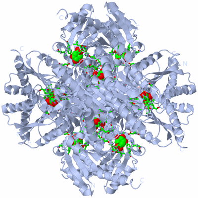 Image Biol. Unit 1 - sites