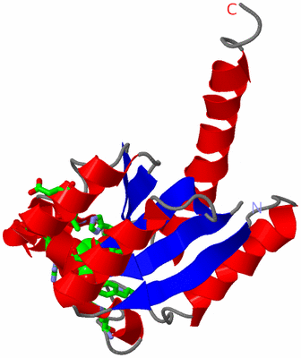 Image Asym. Unit - sites